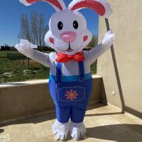 La mascotte Lapin